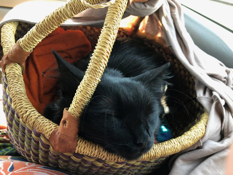 Traveling Basket